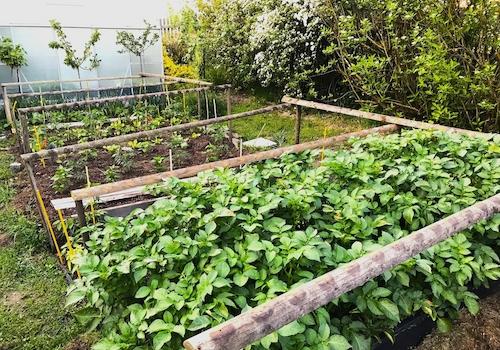 Gemüsegarten