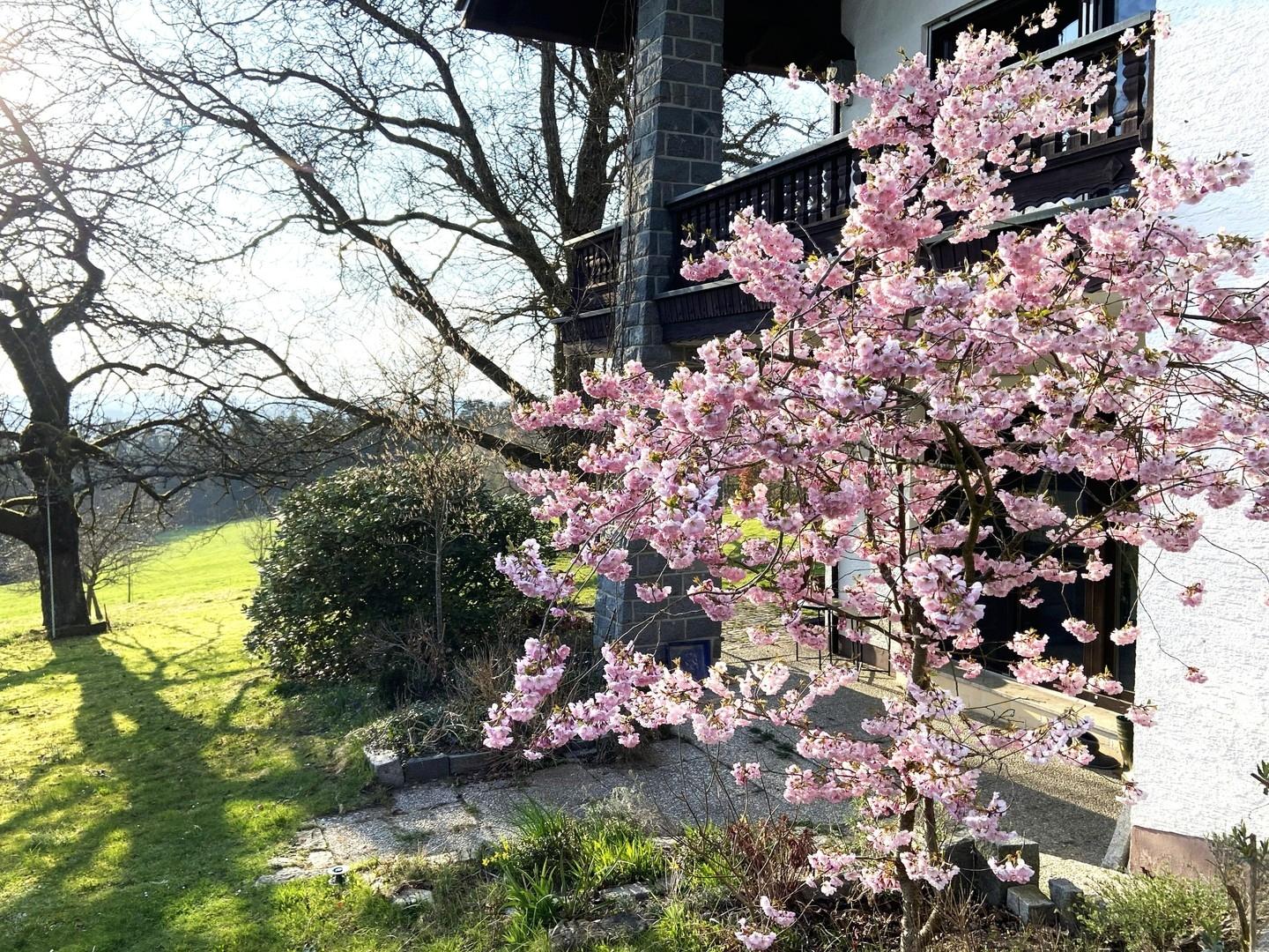 Gartenterrasse