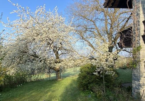 Garten Frühjahr