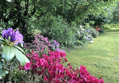 Garten Frühjahr