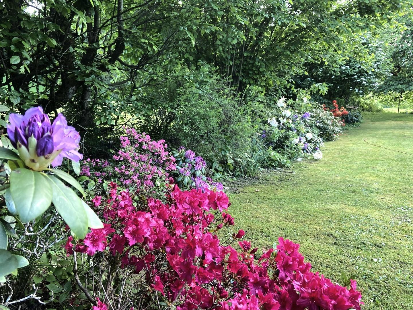 Garten Frühjahr