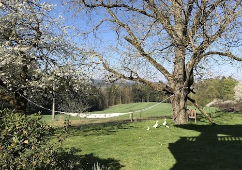 Garten Frühjahr