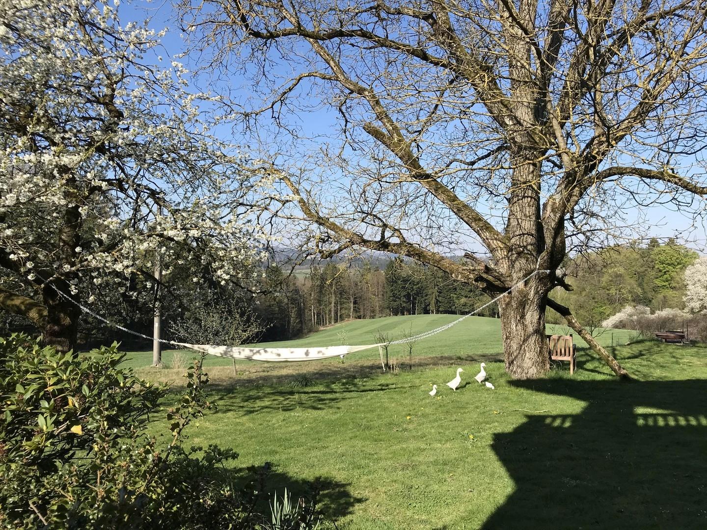 Garten Frühjahr