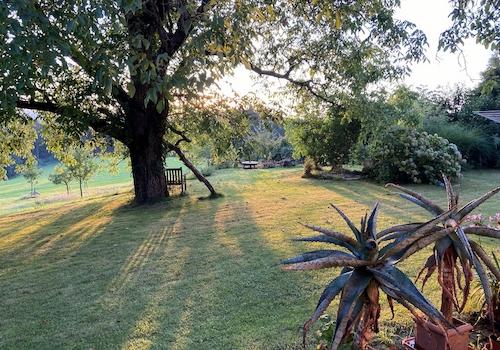 Garten Sommer