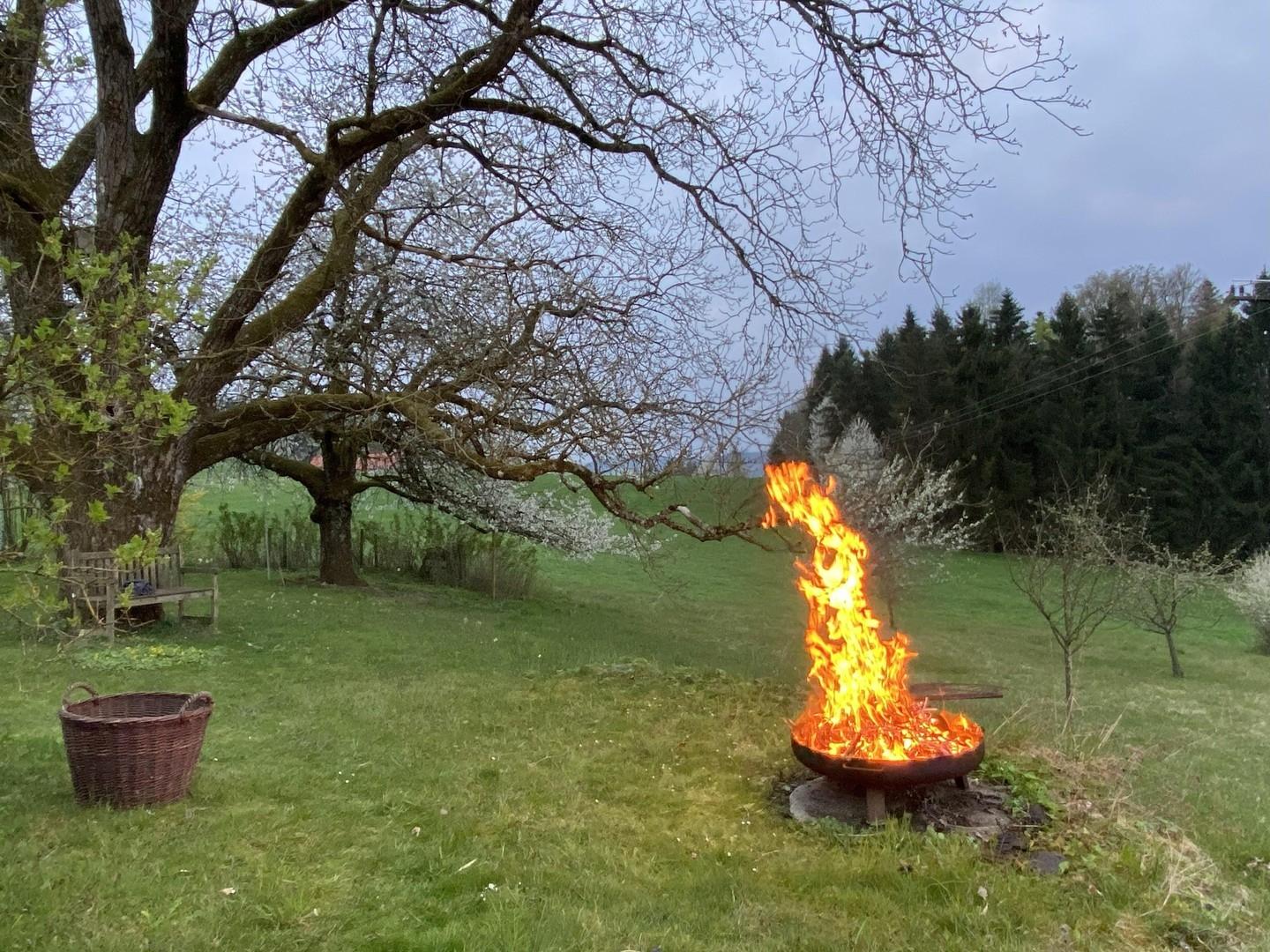Feuerstelle - Grillplatz