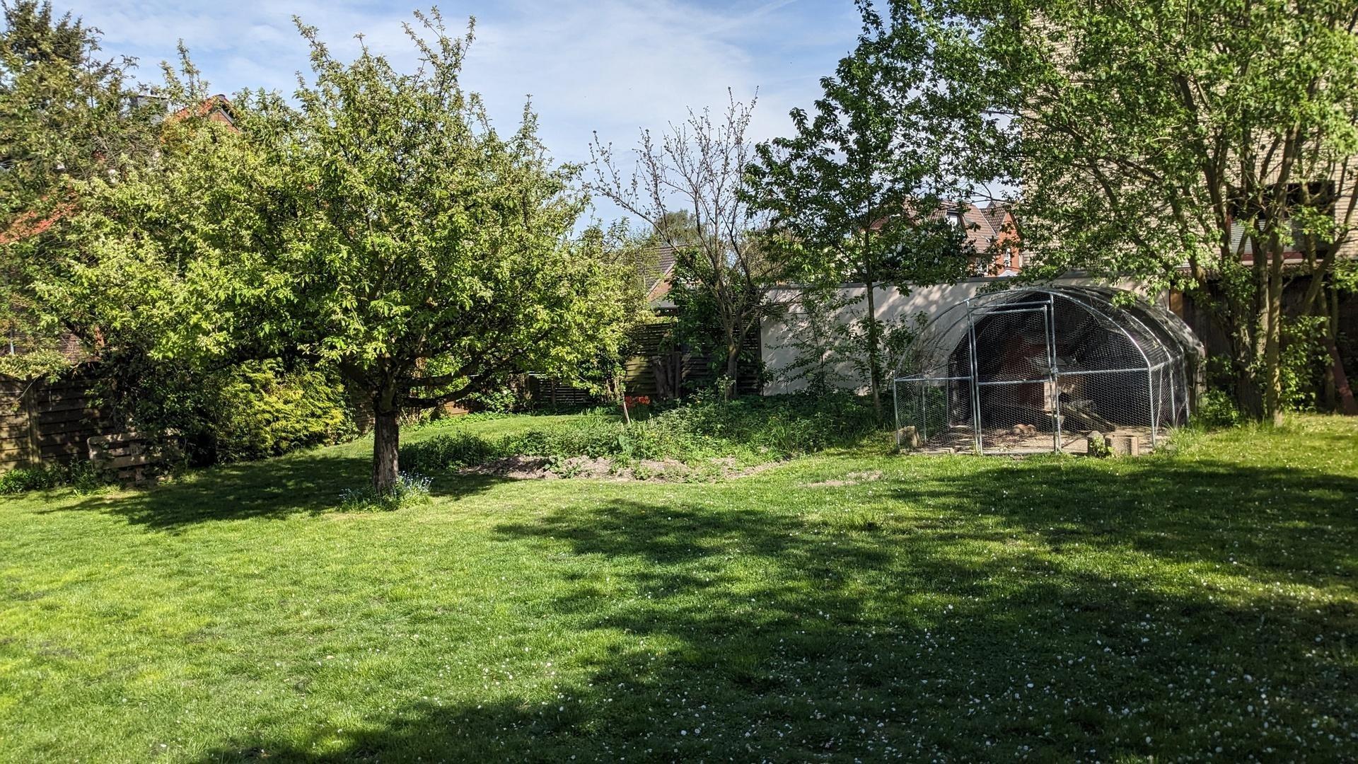 Garten_1