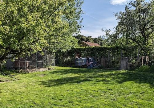 Garten_2