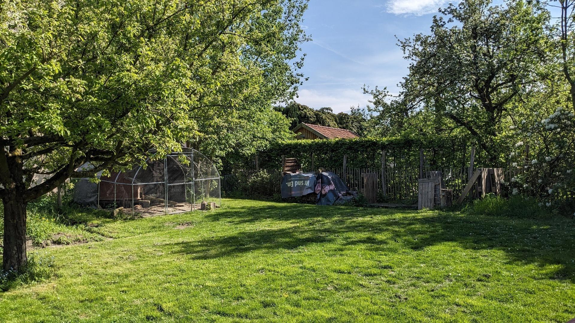 Garten_2