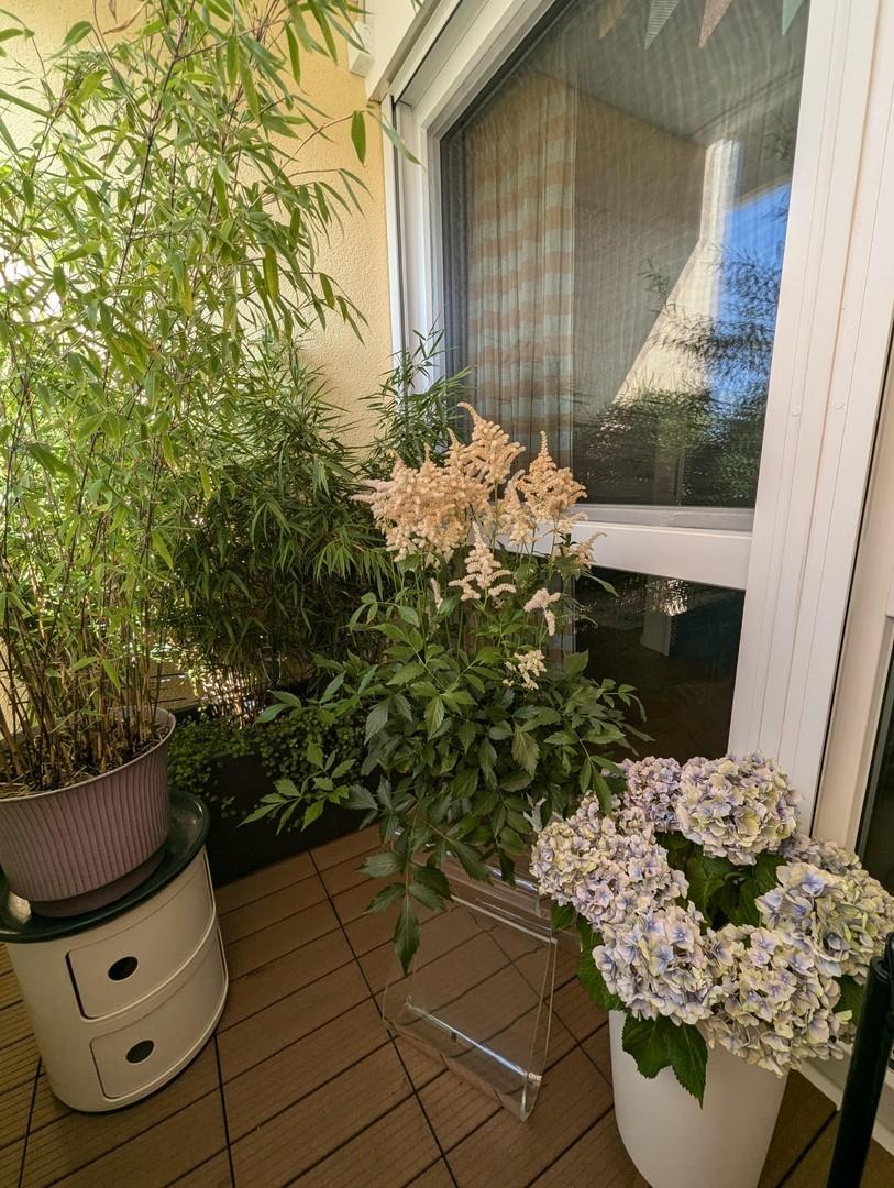 Süd-West Balkon