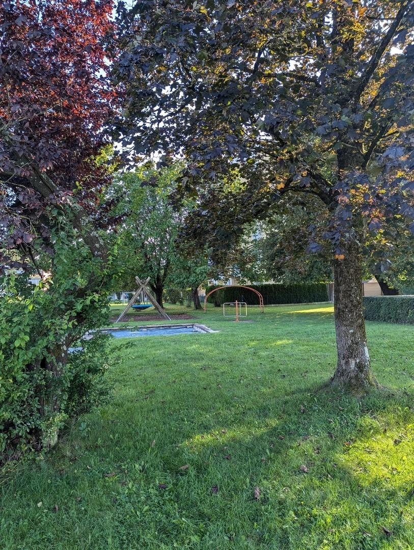 Gemeinschaftsgarten