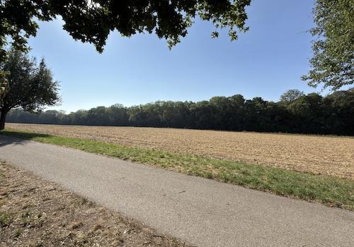 Nachbar Wald und Wiese