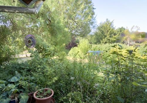 Blick von der Gartenterrasse