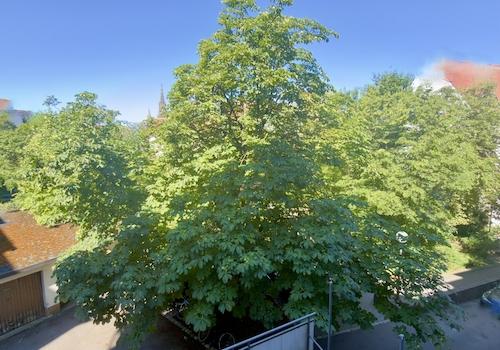 Blick aus dem Fenster