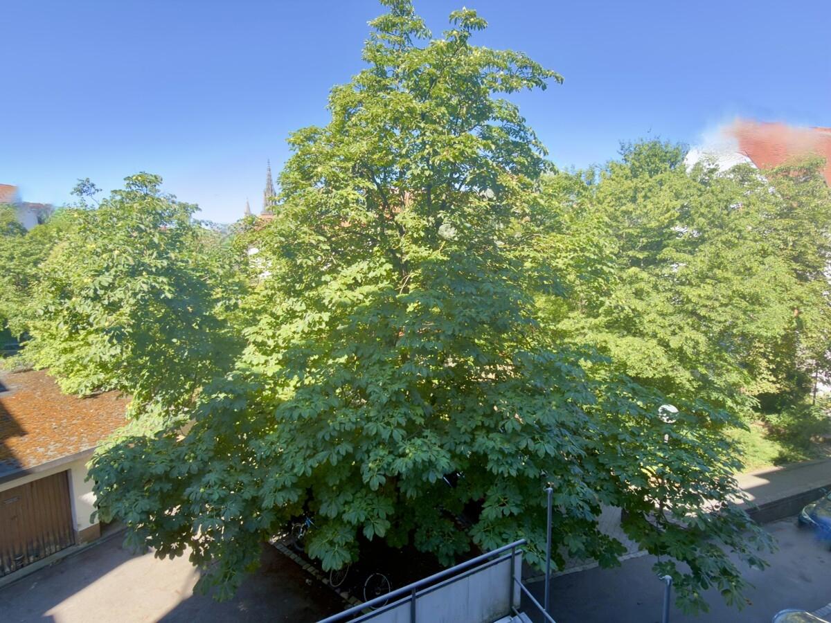 Blick aus dem Fenster