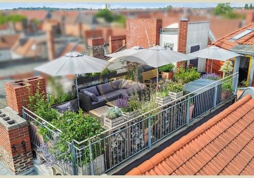 Dachterrasse (5. OG)