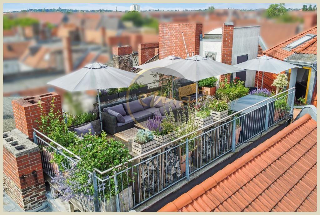 Dachterrasse (5. OG)