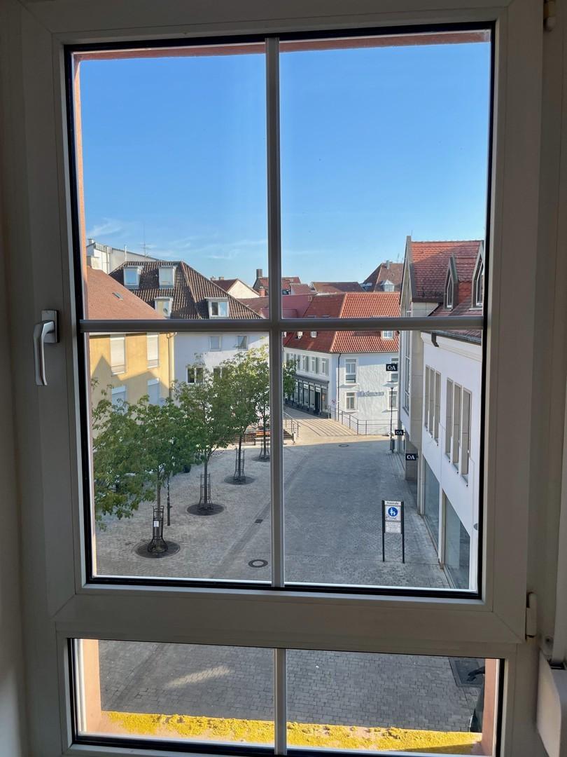 Blick Nord Queich (Wohnzimmer)