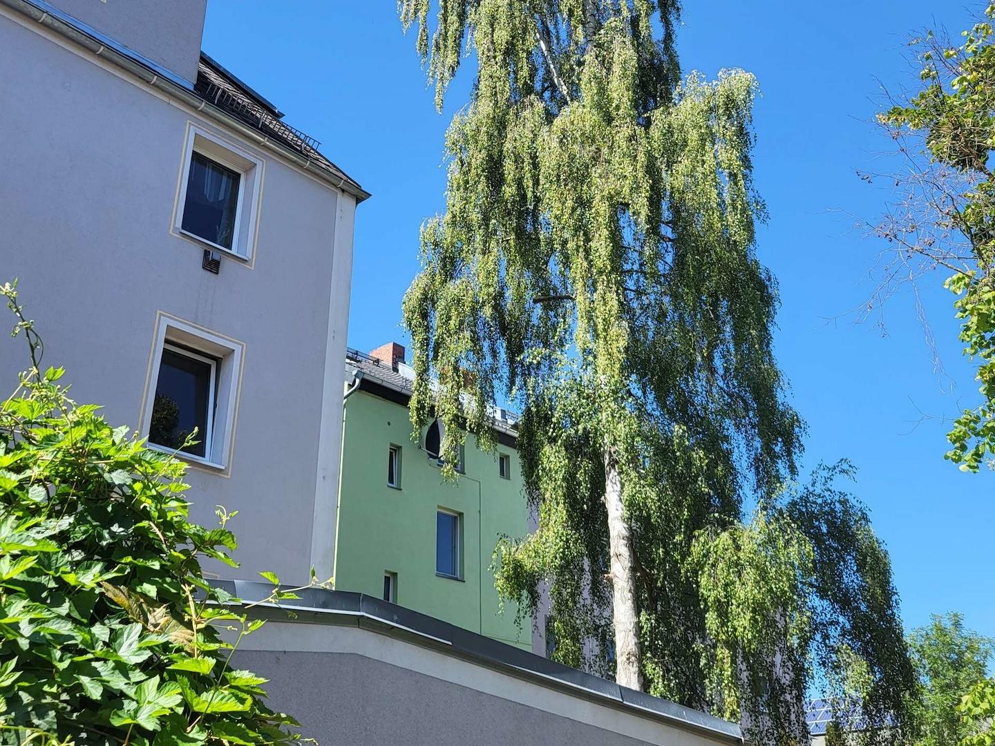 1137 B - Hinteransicht