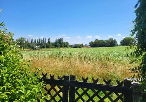 1138 B - Ausblick