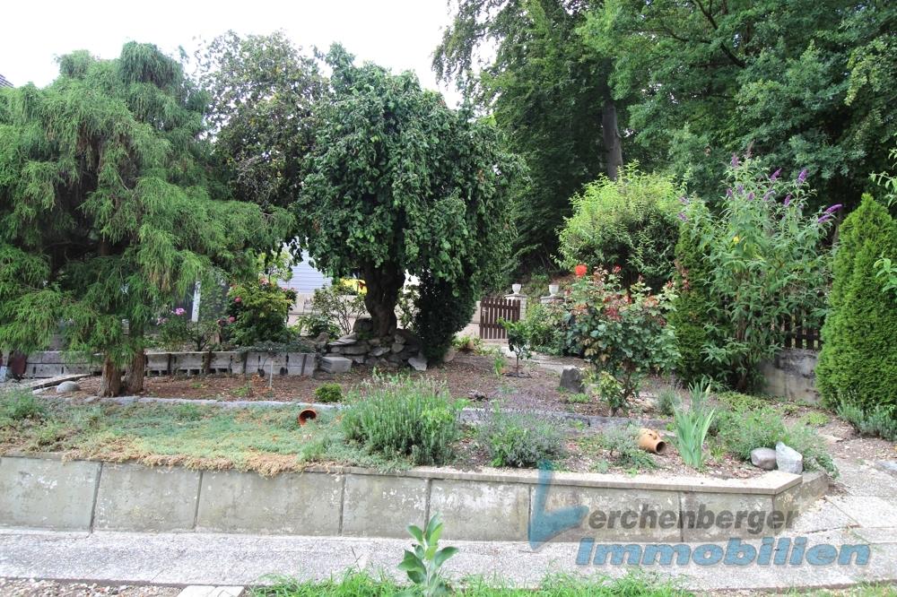 Garten.jpg