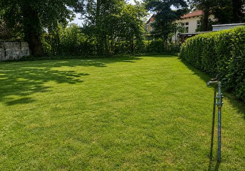 hinterer Gartenbereich 
