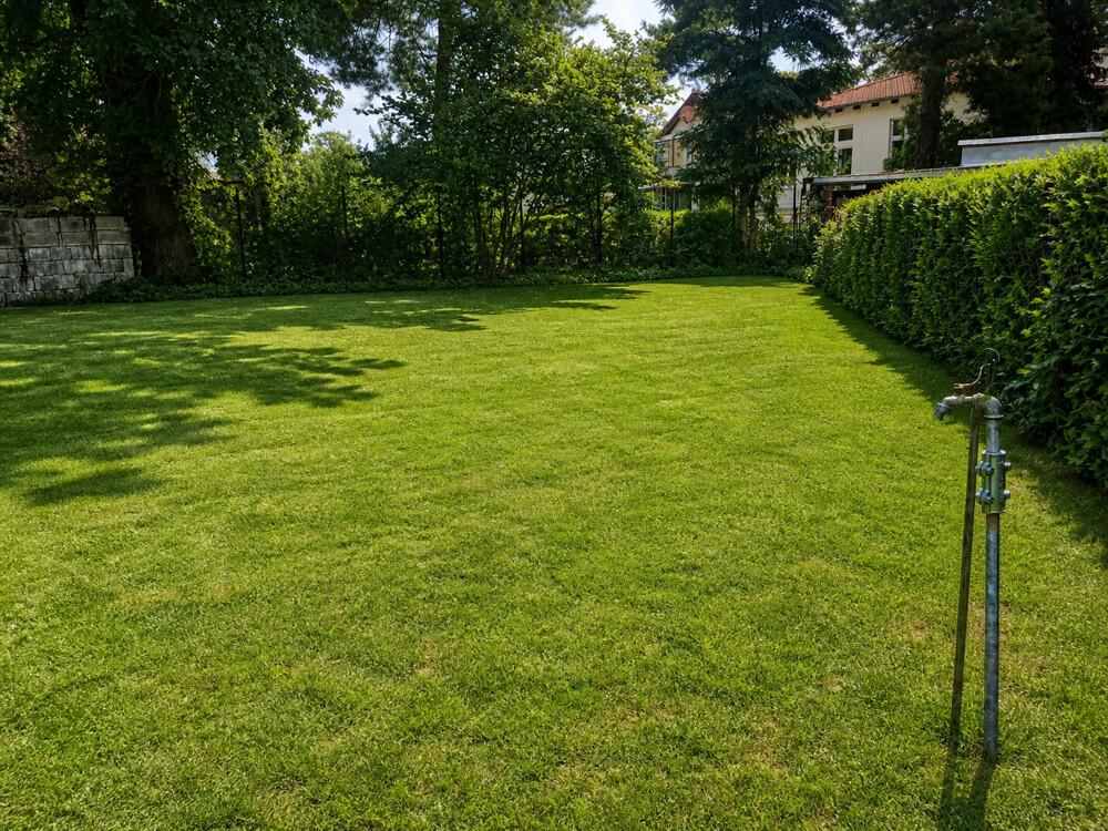 hinterer Gartenbereich 