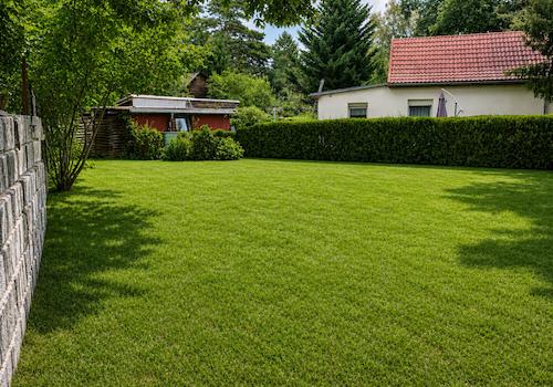 Sonniger Gartenbereich 