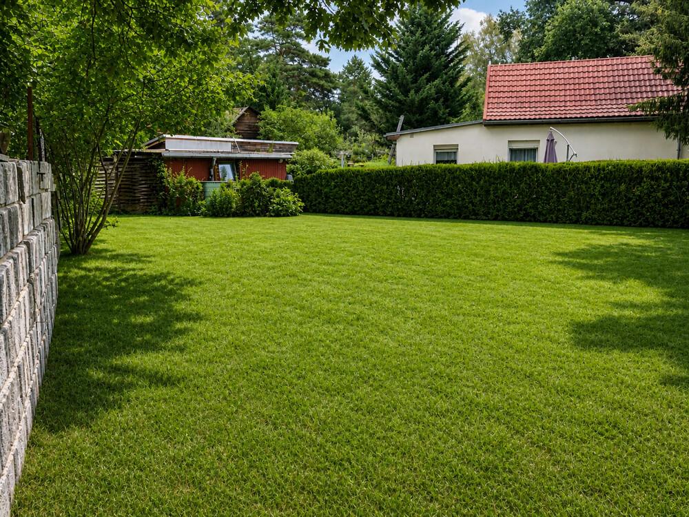 Sonniger Gartenbereich 