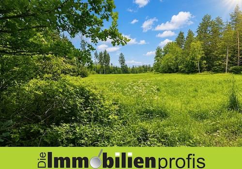1602 - Titelbild