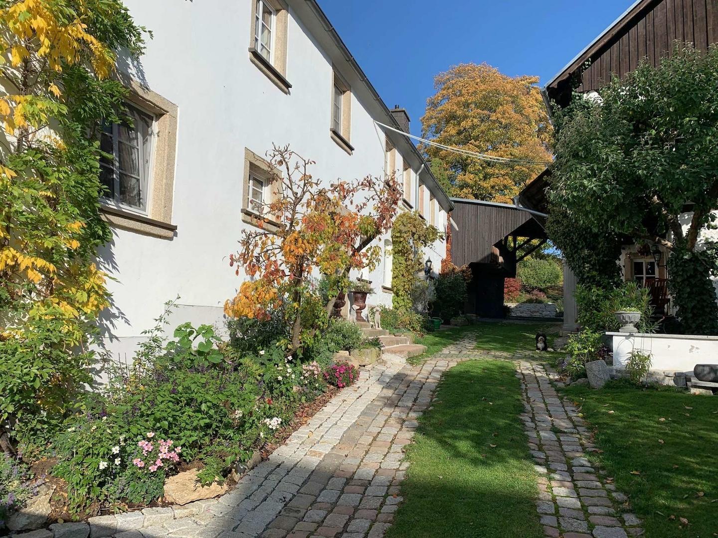 1113 B - Innenhof