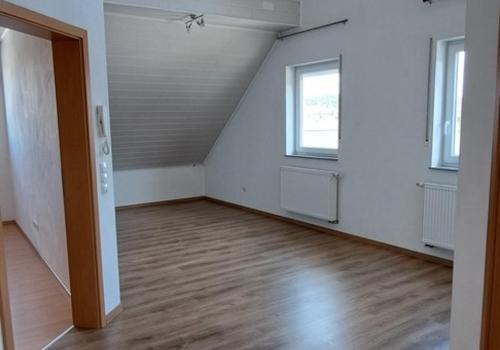 DG Studio