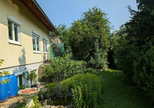 Blick auf Teich und Südseite