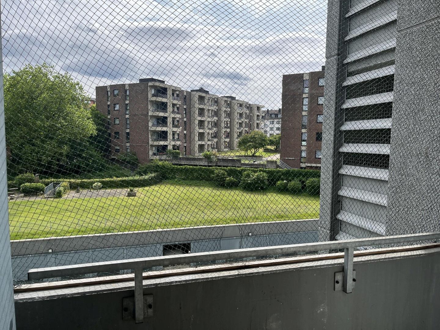Ausblick