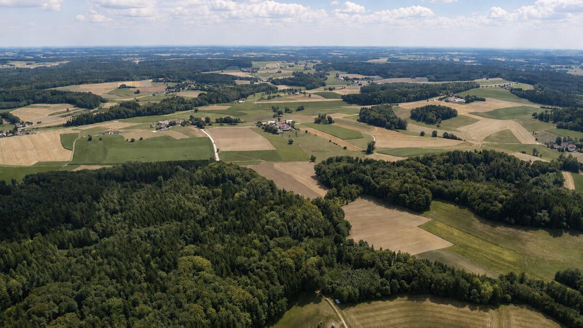 FINESTEP Immobilien