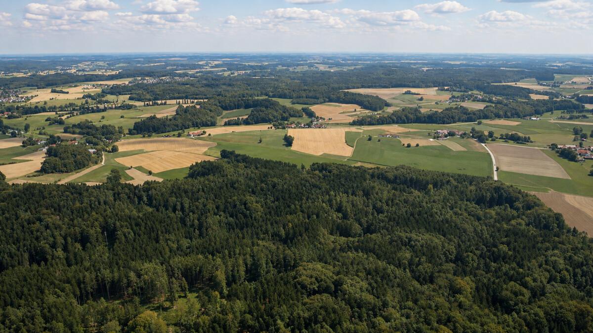 FINESTEP Immobilien