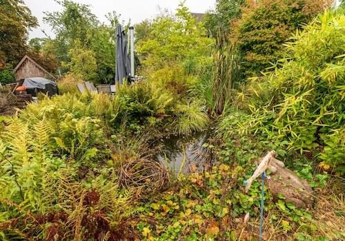 angelegter Teich im Garten