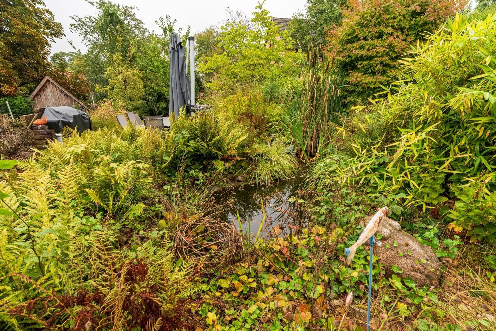 angelegter Teich im Garten