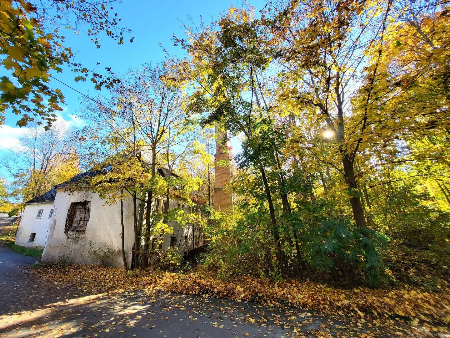 3143 - Bild 3 