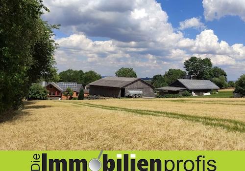 Titelbild 1365