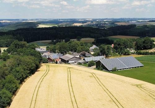 1365 - Bild 2