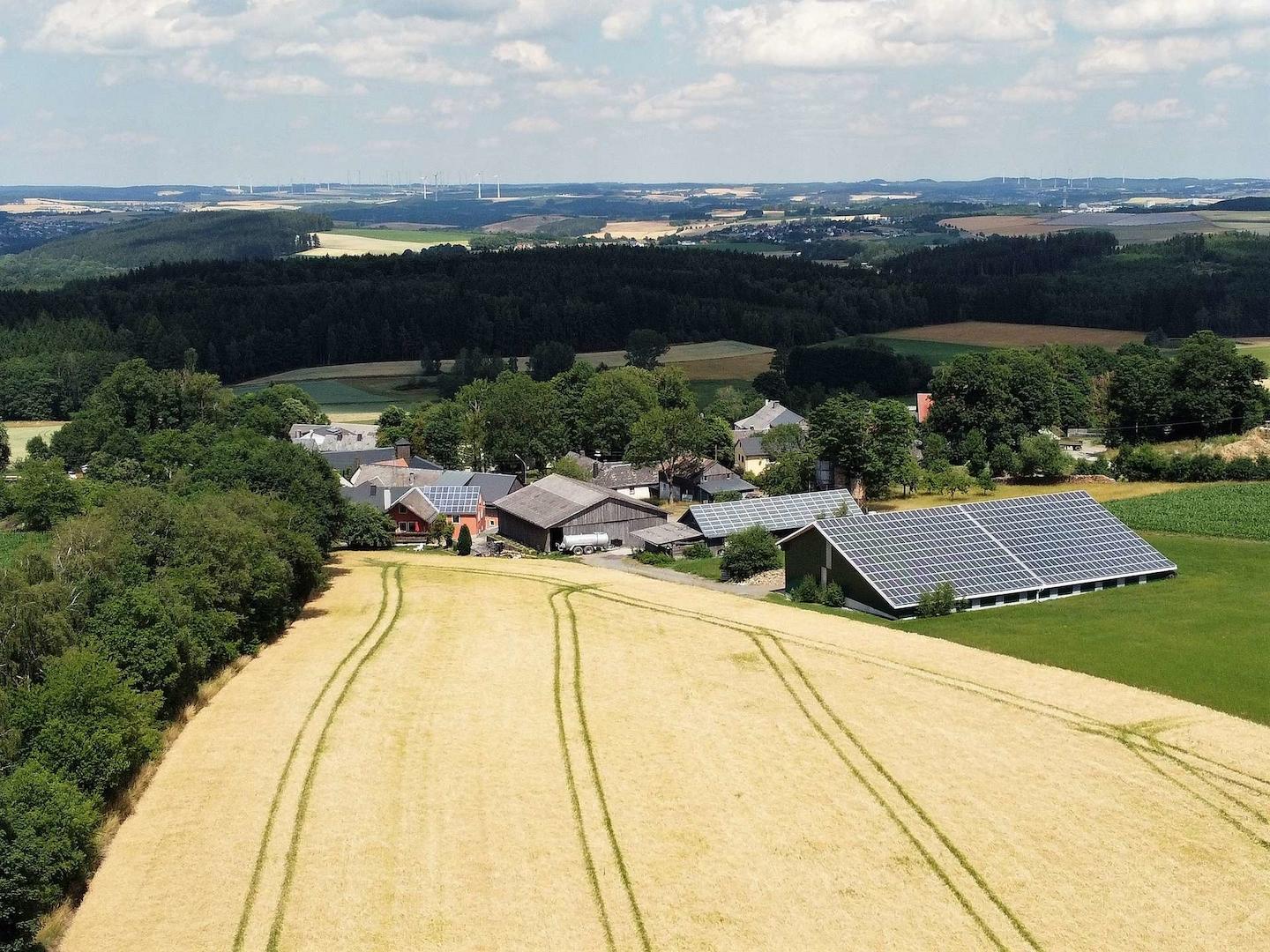 1365 - Bild 2
