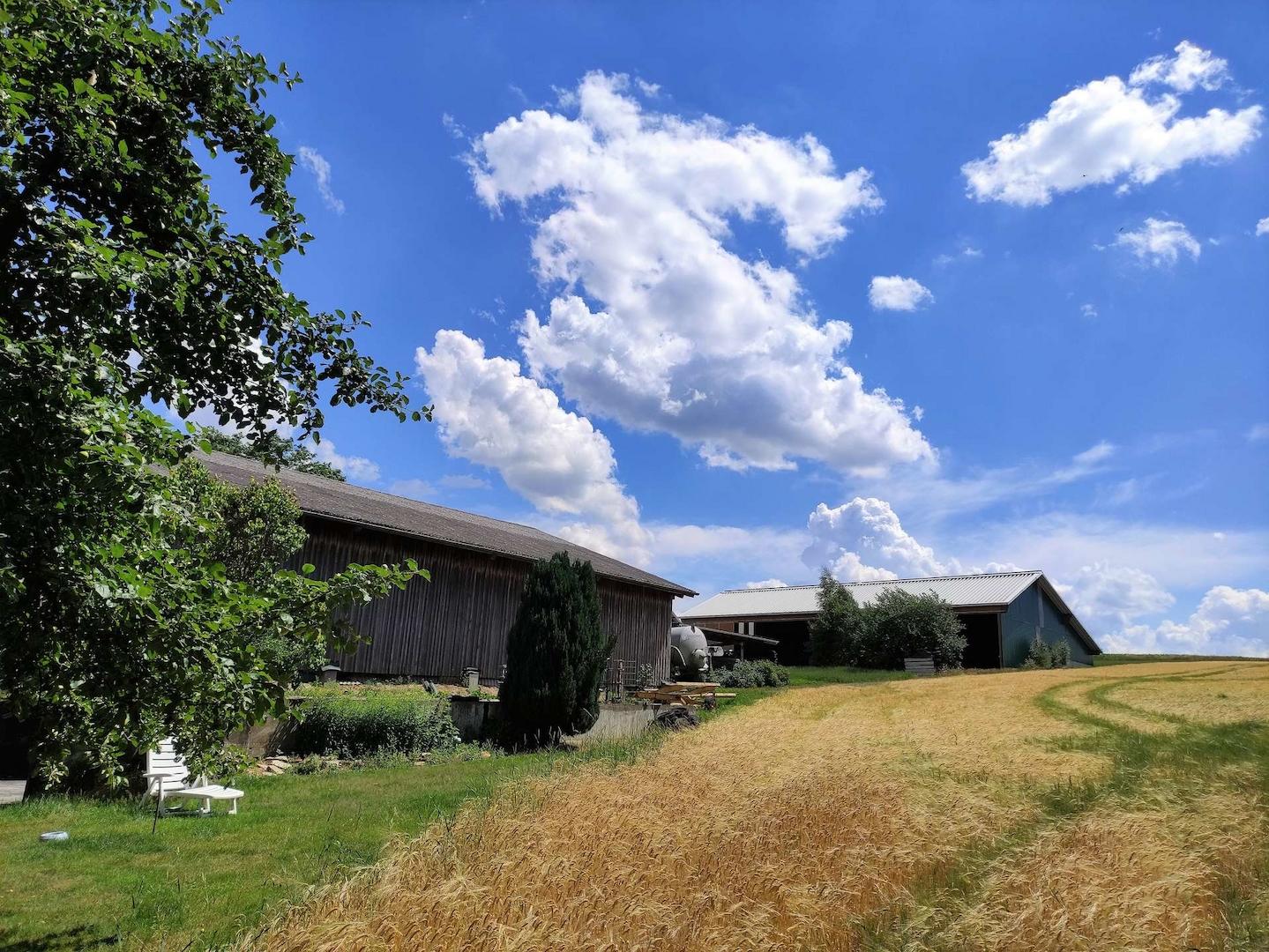 1365 - Bild 4