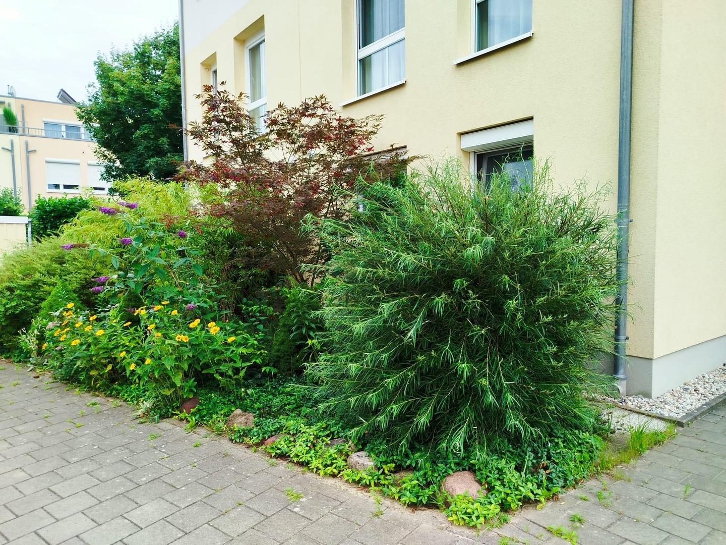 Vorgarten