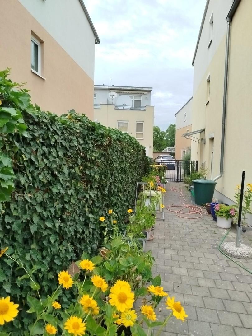 seitliche Fläche