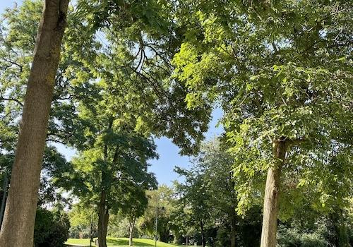 Parkblick