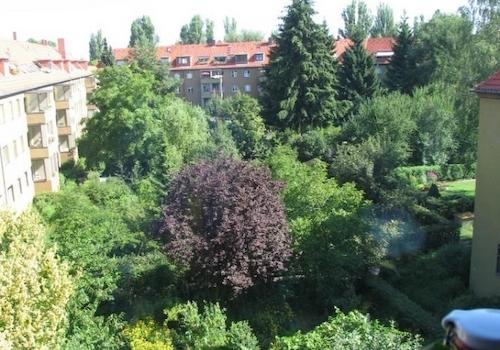 Gartenaussicht
