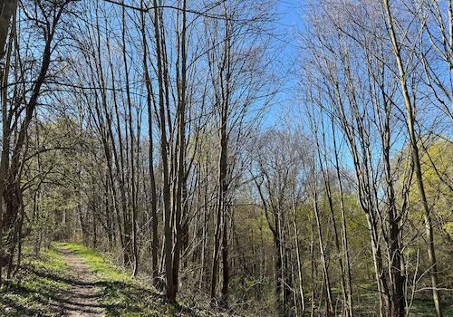 Blick vom Wanderweg 