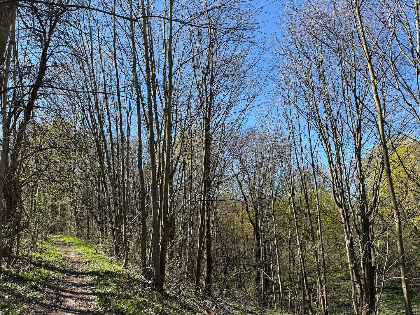 Blick vom Wanderweg 