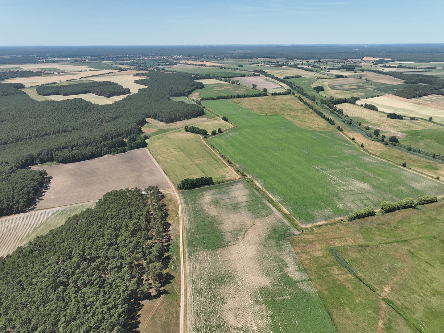 Blick Richtung Nord-West 