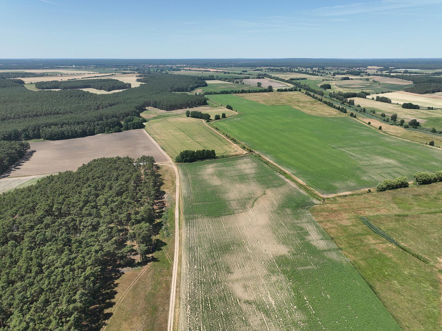 Blick Richtung Nord-West 